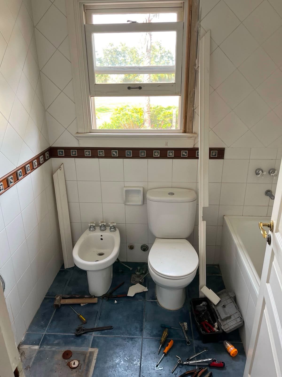 Proyecto 2 — antes